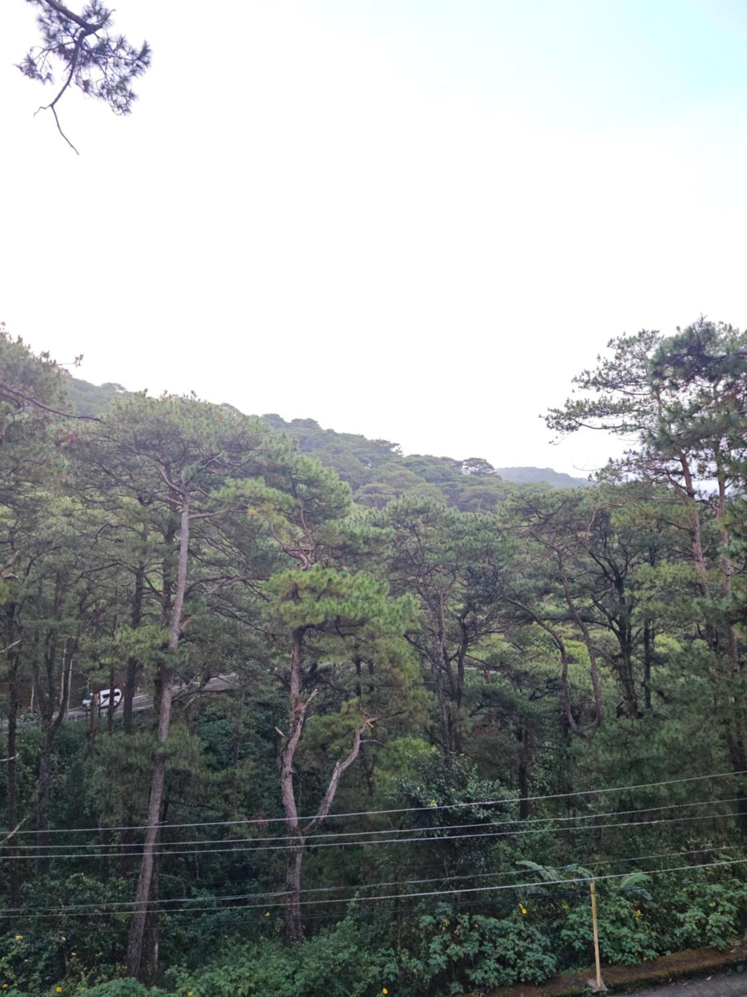Casa Feliz Baguio *
